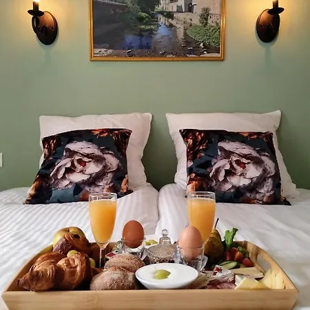 Reve De La Vallee Hotel Blesle